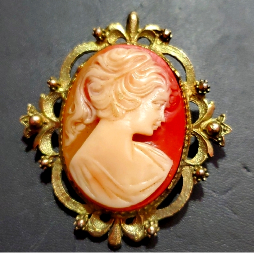 Victorian elegant French girl cameo art frame retro brooch/American Western